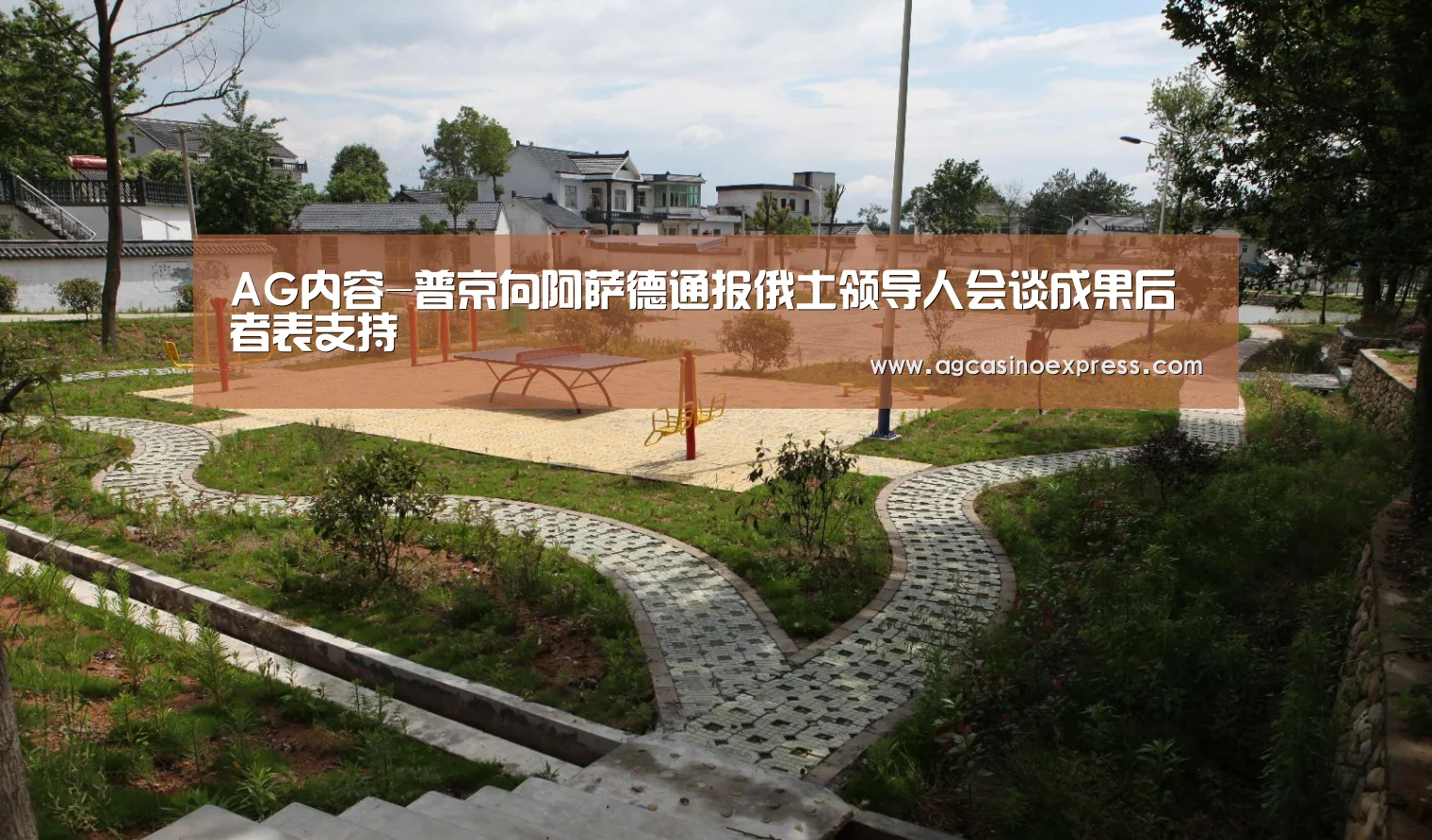 AG内容-普京向阿萨德通报俄土领导人会谈成果后者表支持(图2) AG国际