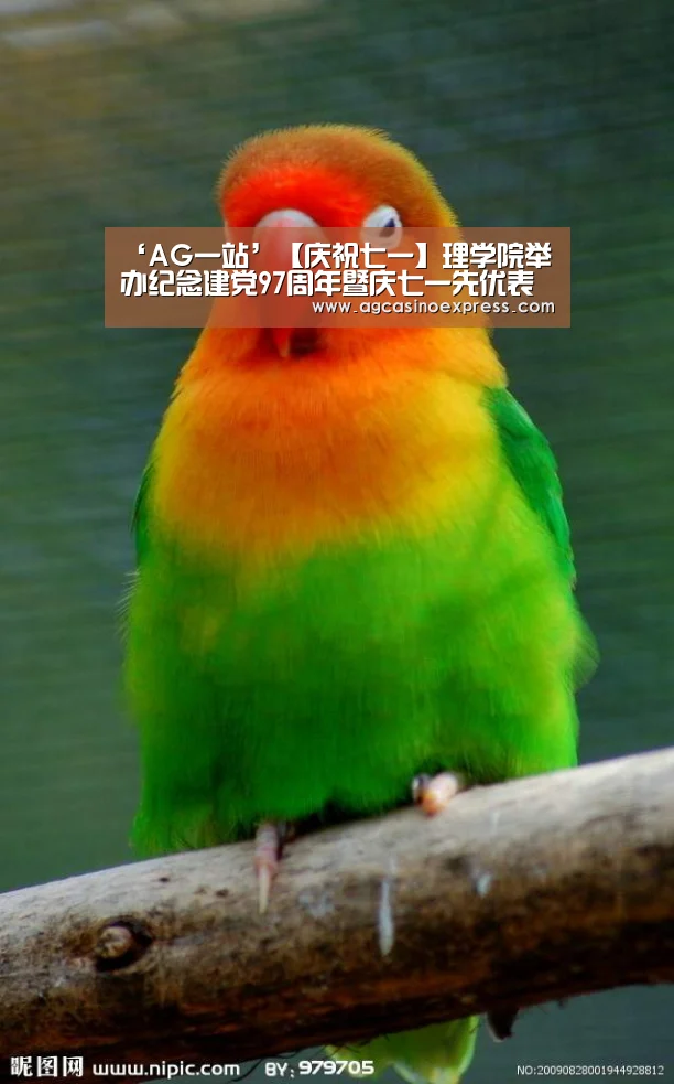 AG国际