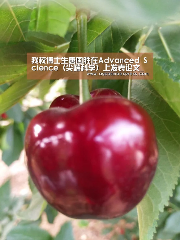 AG体育