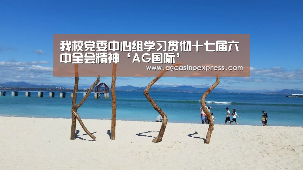 我校党委中心组学习贯彻十七届六中全会精神‘AG国际’(图1) AG一站