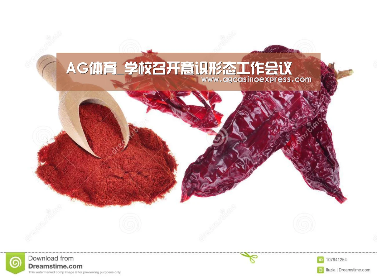 AG体育_学校召开意识形态工作会议(图3) AG国际