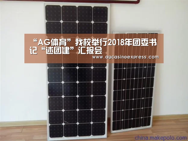 “AG体育”我校举行2018年团委书记“述团建”汇报会(图1) AG内容