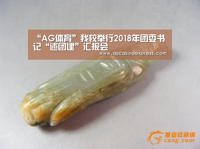 “AG体育”我校举行2018年团委书记“述团建”汇报会(图4) AG内容
