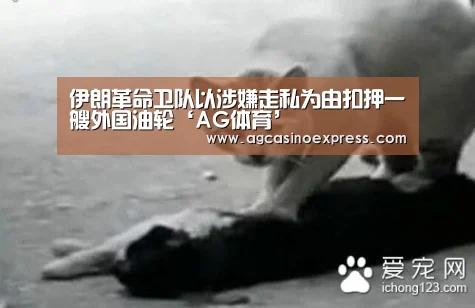 伊朗革命卫队以涉嫌走私为由扣押一艘外国油轮‘AG体育’(图1) AG体育