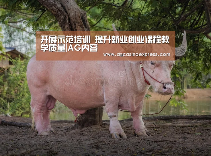 开展示范培训 提升就业创业课程教学质量|AG内容(图3) AG内容