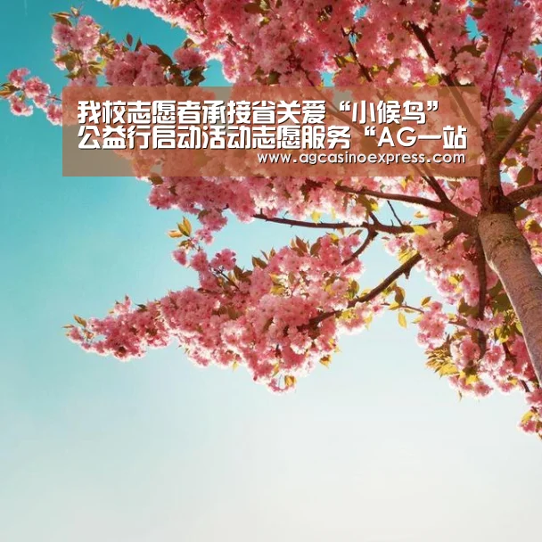 我校志愿者承接省关爱“小候鸟”公益行启动活动志愿服务“AG一站”(图2) AG国际