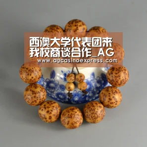 西澳大学代表团来我校商谈合作_AG国际(图2) AG一站
