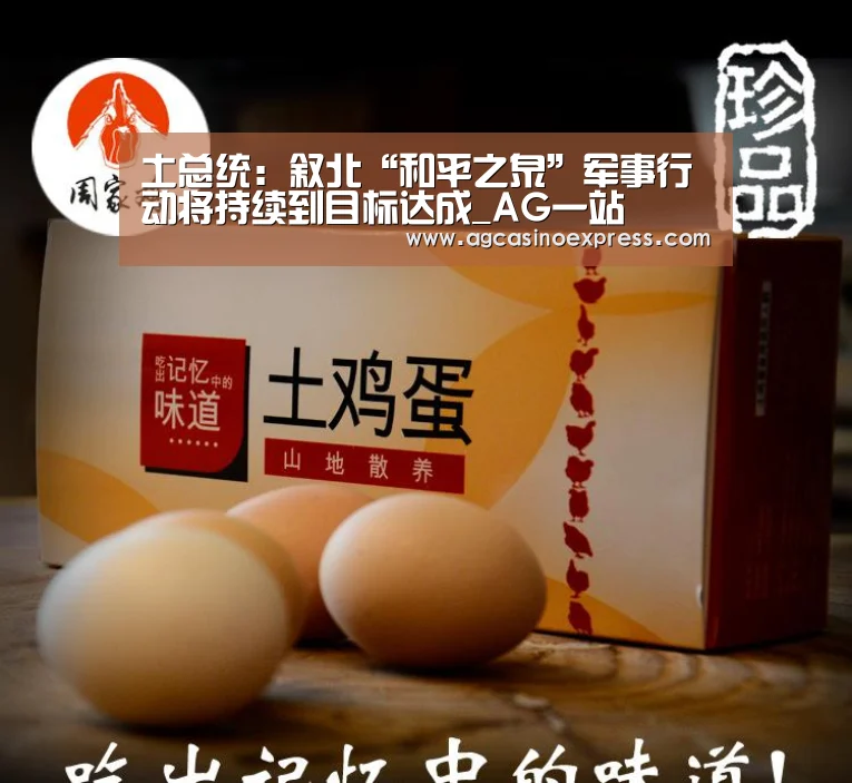 土总统:叙北“和平之泉”军事行动将持续到目标达成_AG一站(图1) AG体育