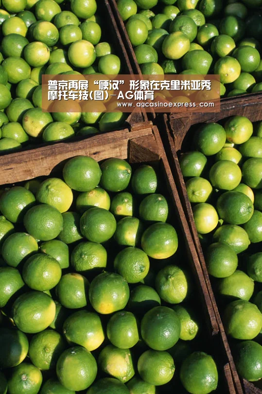 普京再展“硬汉”形象在克里米亚秀摩托车技(图)-AG体育(图1) AG国际